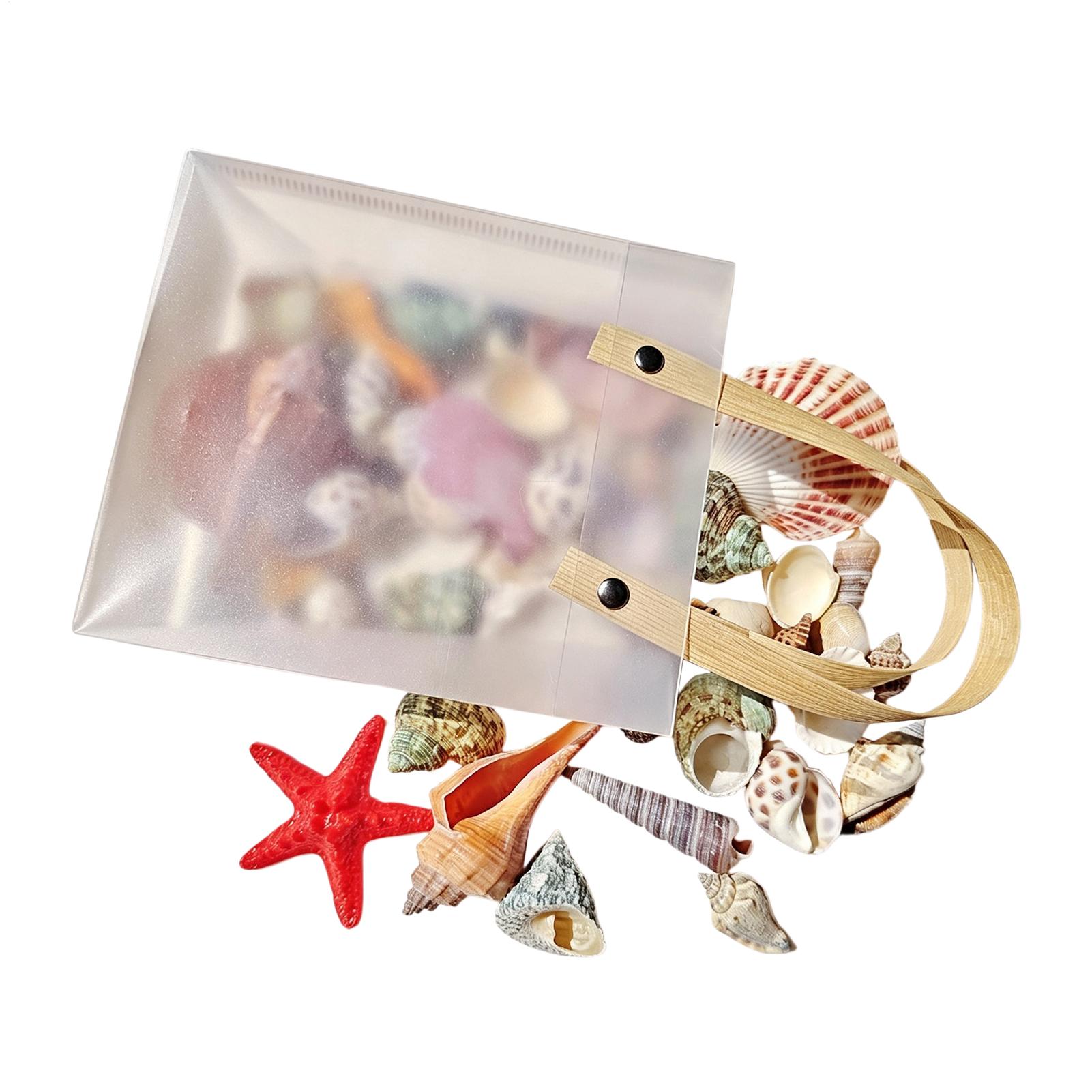 Tiny Seashells for Crafts Natu - Candle Making For Beginners review and price