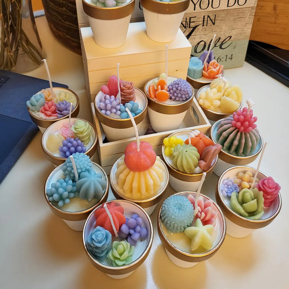 6pcs Succulent Silicone Candle - Candle Making Tips review and price